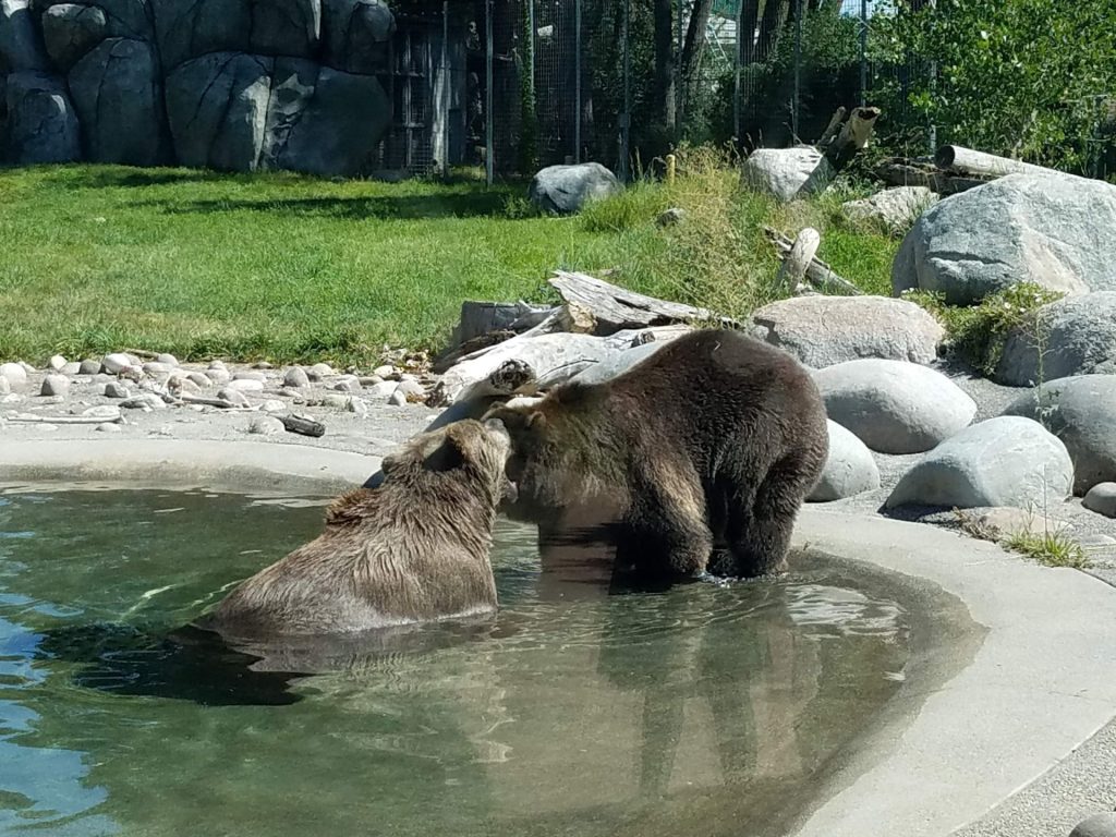 Zoo Montana